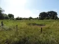 Terrains de loisirs bois etangs a vendre Évron 53600 Mayenne 53 91149 euros 53078-1890 001