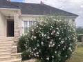 Maison a vendre Saint-Sulpice-de-Pommeray 41000 Loir-et-Cher 41 229 m2 8 pièces 221000 euros 41002-1014915 004