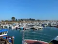 Fonds et murs commerciaux a vendre Quettehou 50630 Manche 50 150 m2 10 pièces 199000 euros 50061-1027604 005