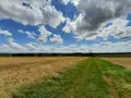 Bien agricole a vendre Bourges 18000 Cher 18 8240000 euros 021/1466 001