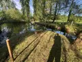 Terrains de loisirs bois etangs a vendre Le Grand-Lucé 72150 Sarthe 72 37000 euros 72085-2238 006