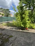 Maison a vendre Albi 81000 Tarn 81 140 m2 6 pièces 180000 euros 12051-31 009