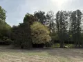 Maison a vendre Longuenée-en-Anjou 49220 Maine-et-Loire 49 200 m2 8 pièces 451110 euros 49031-2854 020