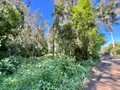 Terrain a batir a vendre Cilaos 97413 La Réunion 974 200000 euros 38119 002