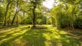 Maison a vendre Brech 56400 Morbihan 56 185 m2 6 pièces 726640 euros 56080-983 010