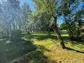 Maison a vendre Cour-Cheverny 41700 Loir-et-Cher 41 84 m2 4 pièces 199190 euros 41002-1051554 037