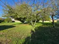 Terrain a batir a vendre Poitiers 86000 Vienne 86 143100 euros 86004-1050922 003