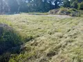 Terrain a batir a vendre Saint-Mars-d'Outillé 72220 Sarthe 72 52030 euros 72012-1053077 002