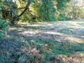 Terrain a batir a vendre Saint-Mars-d'Outillé 72220 Sarthe 72 64285 euros 72012-1053084 003
