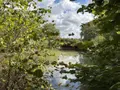 Terrains de loisirs bois etangs a vendre Beaumont-sur-Sarthe 72170 Sarthe 72 37640 euros 72126-3245 004