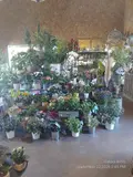 Fonds et murs commerciaux a vendre Candé 49440 Maine-et-Loire 49 100 m2 40500 euros 49095-1663 002