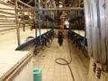 Divers a vendre Le Saint 56110 Morbihan 56 1 m2 335600 euros 56075-2414 006