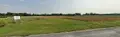 Terrain a batir a vendre Vouzy 51130 Marne 51 30392 euros 51011-93 001
