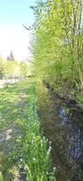 Maison a vendre Ménil-sur-Belvitte 88700 Vosges 88 300 m2 9 pièces 489000 euros 88061-851 009
