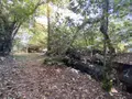 Maison a vendre Saint-Jean-Brévelay 56660 Morbihan 56 47 m2 2 pièces 59000 euros 56056-196 008