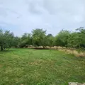Maison a vendre Avezé 72400 Sarthe 72 146 m2 6 pièces 520000 euros 72085-2196 015