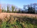 Terrains de loisirs bois etangs a vendre Locmalo 56160 Morbihan 56 26650 euros 56075-2076 003