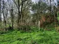 Terrains de loisirs bois etangs a vendre Aizenay 85190 Vendée 85 41280 euros 85091-5199 004