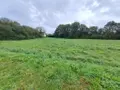 Terrain a batir a vendre Scrignac 29640 Finistère 29 27500 euros 29064-2760 002