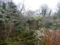 Terrains de loisirs bois etangs a vendre Saint-Tugdual 56540 Morbihan 56 10600 euros 56075-2343 005