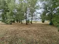 Terrain a batir a vendre Artannes-sur-Indre 37260 Indre-et-Loire 37 142400 euros 37125-58 001