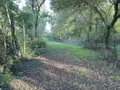 Terrains de loisirs bois etangs a vendre Saint-Georges-de-Montaigu 85600 Vendée 85 83900 euros 85020-1498 008