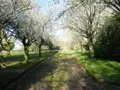 Maison a vendre Saint-Caradec-Trégomel 56540 Morbihan 56 138 m2 6 pièces 262500 euros 56075-2465 011