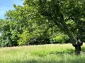 Maison a vendre Dagneux 01120 Ain 01 100 m2 5 pièces 490000 euros 01070-813 014