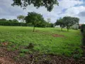 Terrain a batir a vendre Legé 44650 Loire-Atlantique 44 87860 euros 85091-5101 003