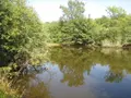 Terrains de loisirs bois etangs a vendre Fleurey-lès-Faverney 70160 Haute-Saône 70 97000 euros CP/E44 012
