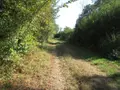 Terrains de loisirs bois etangs a vendre Fleurey-lès-Faverney 70160 Haute-Saône 70 97000 euros CP/E44 002