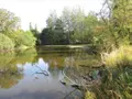 Terrains de loisirs bois etangs a vendre Fleurey-lès-Faverney 70160 Haute-Saône 70 97000 euros CP/E44 006