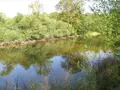 Terrains de loisirs bois etangs a vendre Fleurey-lès-Faverney 70160 Haute-Saône 70 97000 euros CP/E44 009