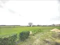 Terrain a batir a vendre La Celle-Saint-Avant 37160 Indre-et-Loire 37 314000 euros 37072-642 002