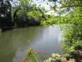 Maison a vendre Faverney 70160 Haute-Saône 70 300 m2 11 pièces 81000 euros CP/E76 008