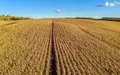 Bien agricole a vendre Levroux 36110 Indre 36 2967000 euros 021/1529 012