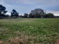Terrain a batir a vendre Saint-Hilaire-de-Riez 85270 Vendée 85 126700 euros 85091-5083 001