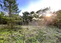 Terrain a batir a vendre Saint-Michel-Chef-Chef 44730 Loire-Atlantique 44 520350 euros 44086-1482 003