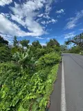 Terrain a batir a vendre Saint-Joseph 97480 La Réunion 974 151709 euros 97410-1088923 002