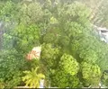 Terrain a batir a vendre Saint-Pierre 97410 La Réunion 974 354464 euros 97410-1088926 002
