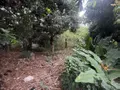 Terrain a batir a vendre Saint-Pierre 97410 La Réunion 974 354464 euros 97410-1088926 001