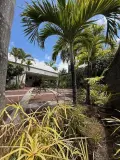 Maison a vendre Saint-Pierre 97410 La Réunion 974 251 m2 5 pièces 724500 euros 97410-1089675 006
