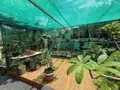 Maison a vendre Saint-Pierre 97410 La Réunion 974 251 m2 5 pièces 724500 euros 97410-1089675 019