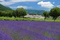 Fonds et murs commerciaux a vendre Montélimar 26200 Drôme 26 800 m2 1100000 euros 26060-749 001