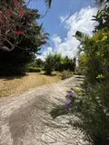 Maison a vendre Le Tampon 97430 La Réunion 974 163 m2 7 pièces 624000 euros 97410-1090001 015