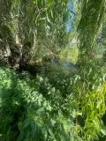 Terrain a batir a vendre Meung-sur-Loire 45130 Loiret 45 85000 euros 45029-1094175 003