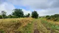Bien agricole a vendre Luçay-le-Mâle 36360 Indre 36 119900 euros 021/1550 002