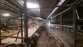 Bien agricole a vendre Luçay-le-Mâle 36360 Indre 36 119900 euros 021/1550 006