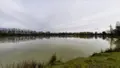 Terrains de loisirs bois etangs a vendre Arthon 36330 Indre 36 196200 euros 021/1555 010
