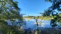 Terrains de loisirs bois etangs a vendre Arthon 36330 Indre 36 196200 euros 021/1555 005